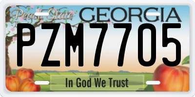 GA license plate PZM7705
