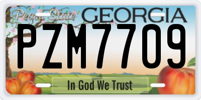 GA license plate PZM7709