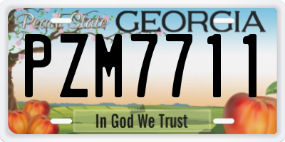 GA license plate PZM7711