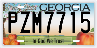 GA license plate PZM7715
