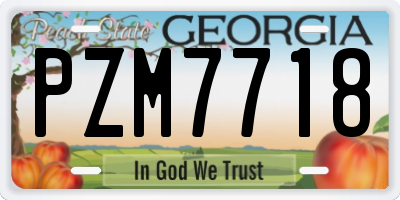 GA license plate PZM7718