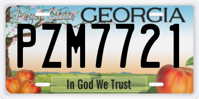 GA license plate PZM7721