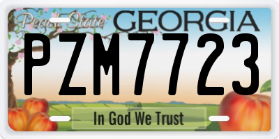 GA license plate PZM7723