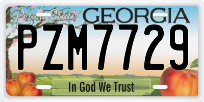 GA license plate PZM7729