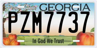 GA license plate PZM7737