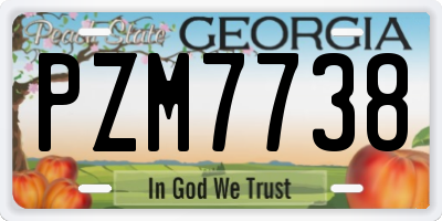 GA license plate PZM7738