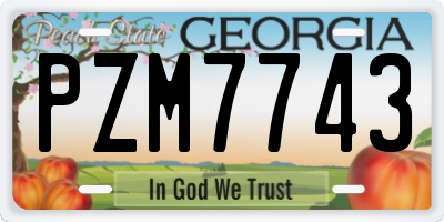 GA license plate PZM7743