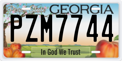 GA license plate PZM7744