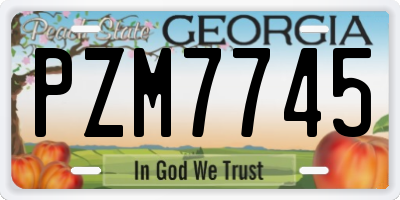 GA license plate PZM7745
