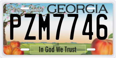 GA license plate PZM7746
