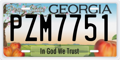 GA license plate PZM7751