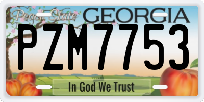 GA license plate PZM7753