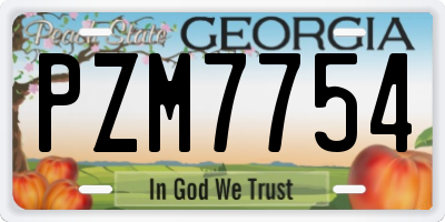 GA license plate PZM7754