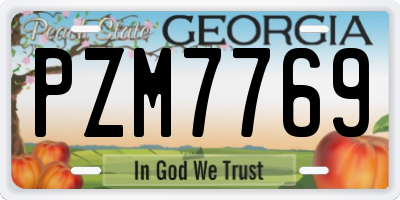 GA license plate PZM7769