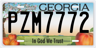 GA license plate PZM7772