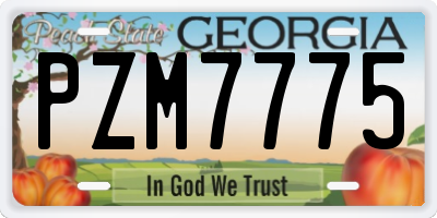 GA license plate PZM7775