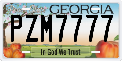GA license plate PZM7777