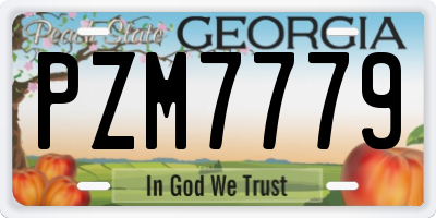 GA license plate PZM7779