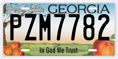 GA license plate PZM7782