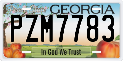 GA license plate PZM7783
