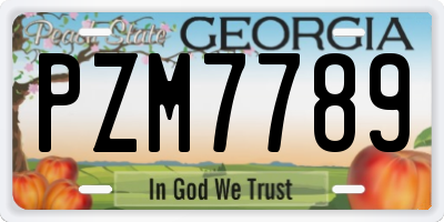 GA license plate PZM7789