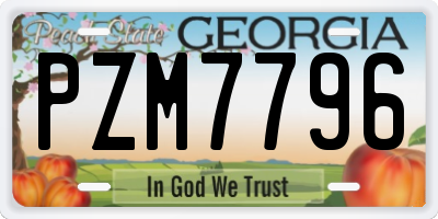 GA license plate PZM7796