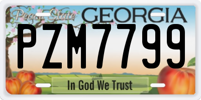 GA license plate PZM7799