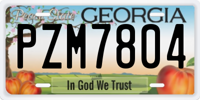 GA license plate PZM7804