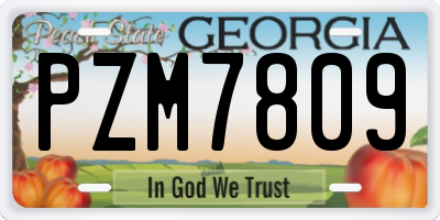 GA license plate PZM7809