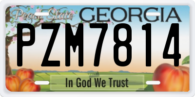 GA license plate PZM7814