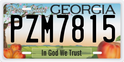 GA license plate PZM7815