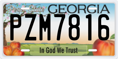 GA license plate PZM7816