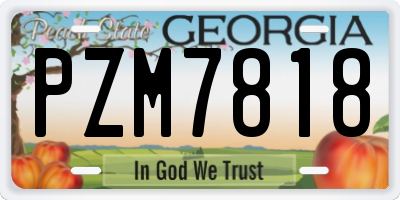 GA license plate PZM7818