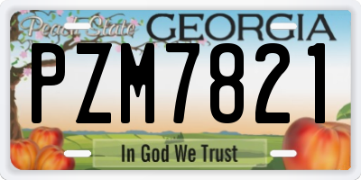 GA license plate PZM7821