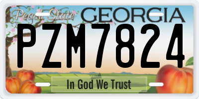 GA license plate PZM7824