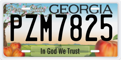 GA license plate PZM7825