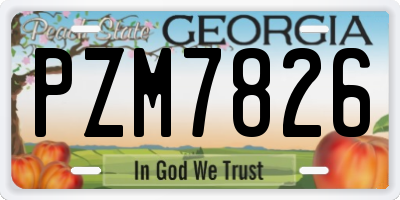 GA license plate PZM7826