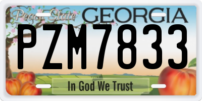 GA license plate PZM7833