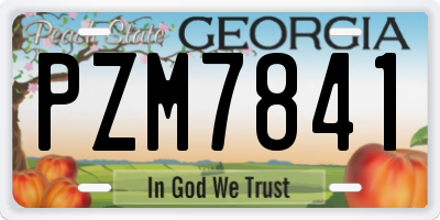 GA license plate PZM7841