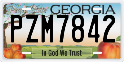 GA license plate PZM7842