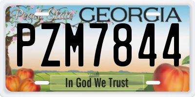 GA license plate PZM7844