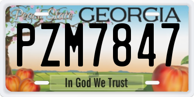 GA license plate PZM7847