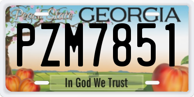 GA license plate PZM7851