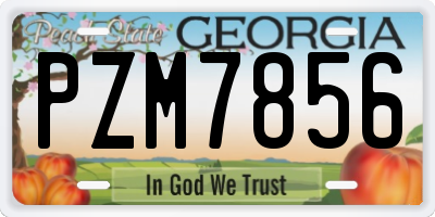 GA license plate PZM7856