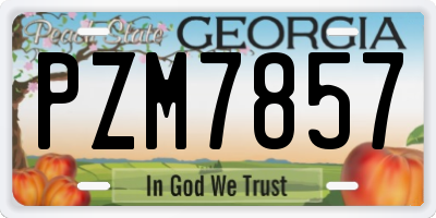 GA license plate PZM7857