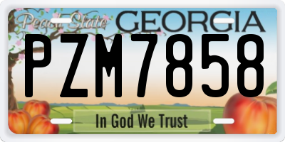 GA license plate PZM7858