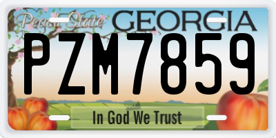 GA license plate PZM7859