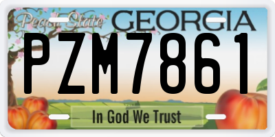 GA license plate PZM7861