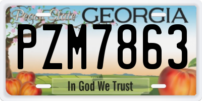 GA license plate PZM7863