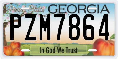 GA license plate PZM7864
